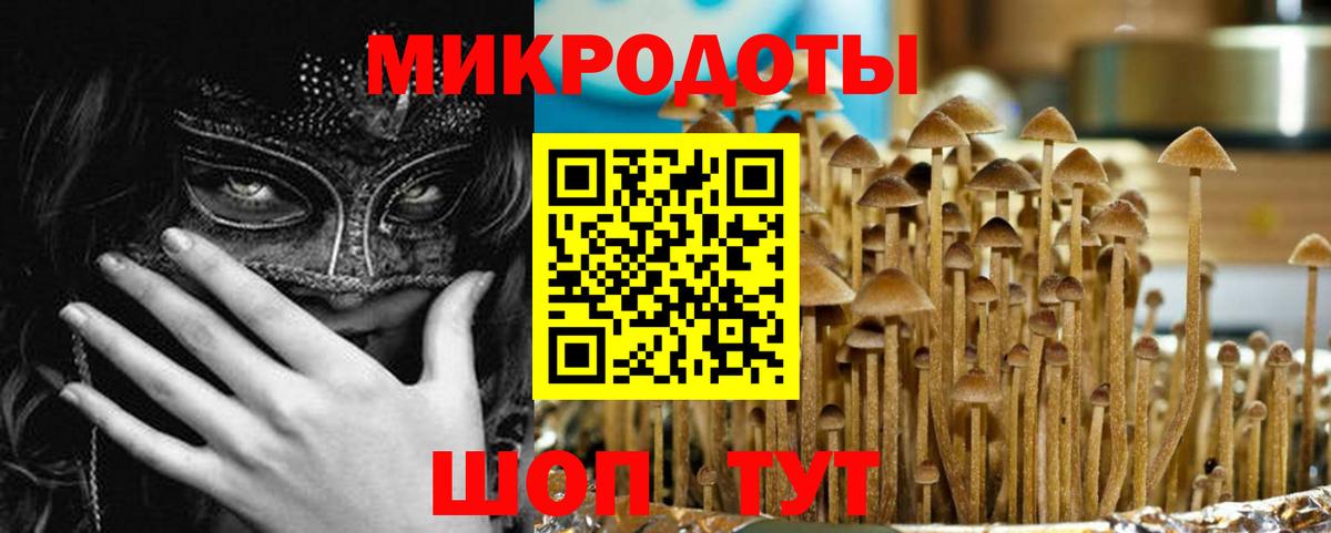Галлюциногенные грибы прущие грибы Буйнакск